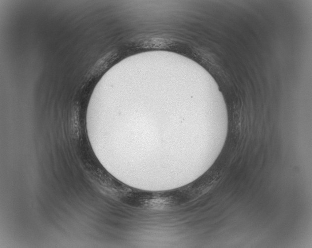 X0000054390312200508270041