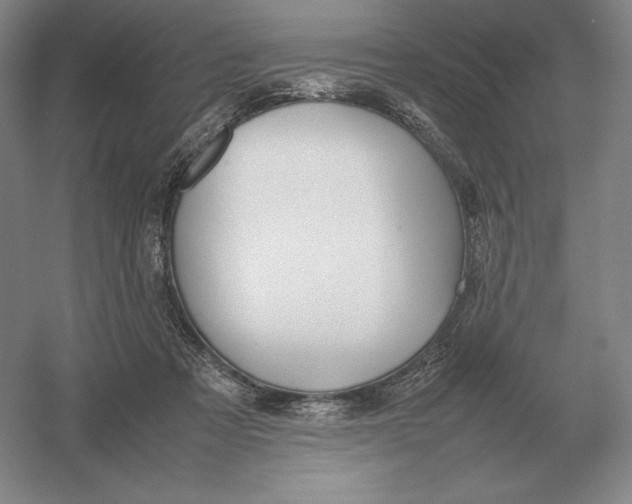X0000054390313200508270041