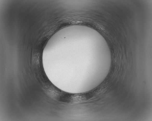 X0000054390315200508270041