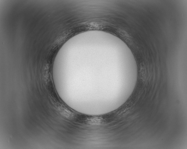 X0000054390318200508270041