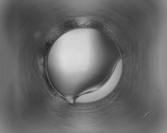 X0000054390319200508270041