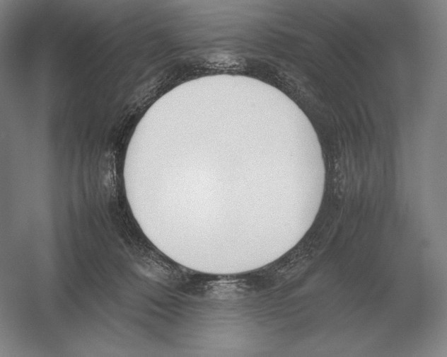 X0000054390320200508270041