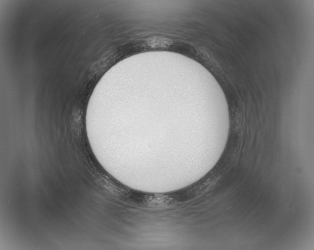 X0000054390321200508270041