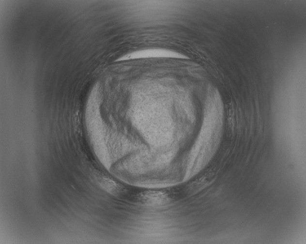 X0000054390322200508270041