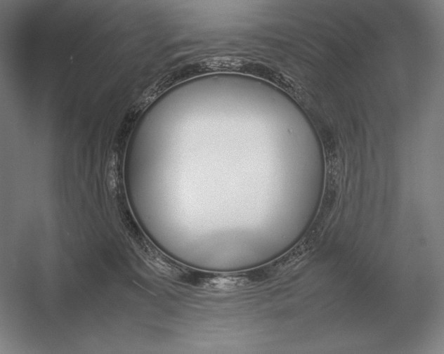 X0000054390323200508270041