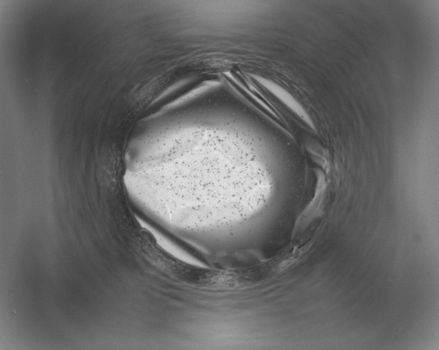 X0000054390325200508270041