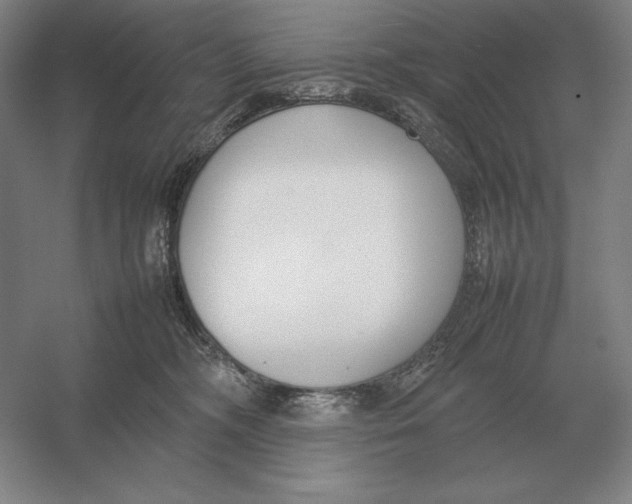 X0000054390326200508270040