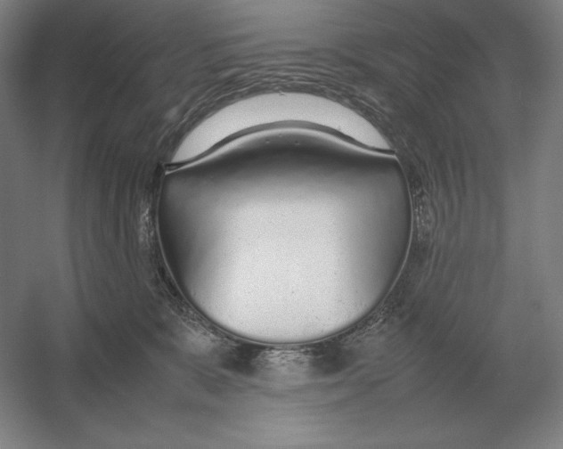 X0000054390327200508270040