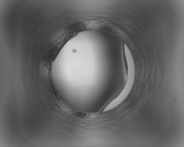 X0000054390329200508270040