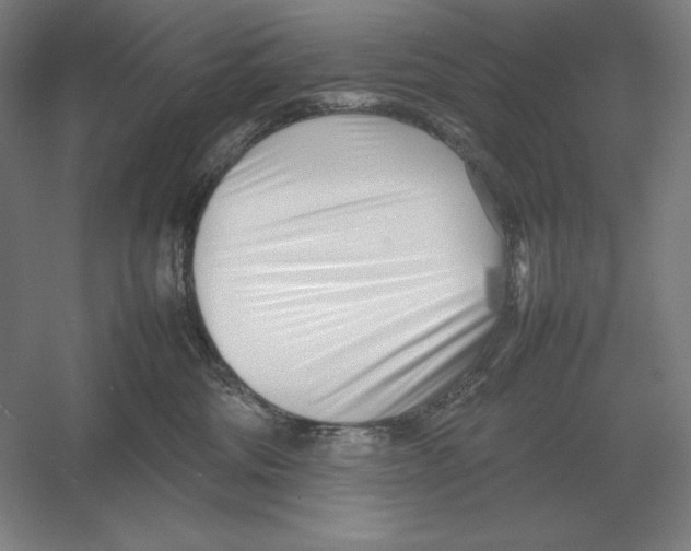 X0000054390330200508270040