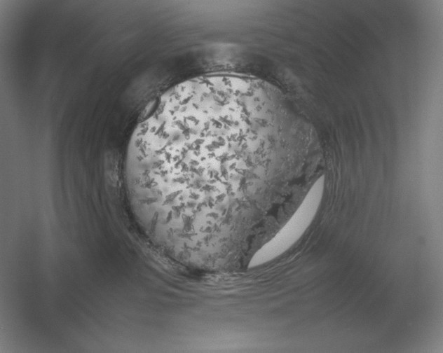 X0000054390331200508270040