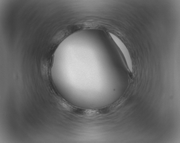 X0000054390333200508270040