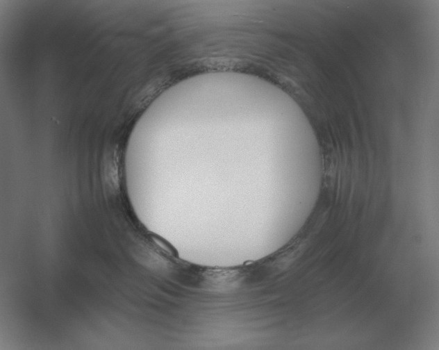 X0000054390334200508270040