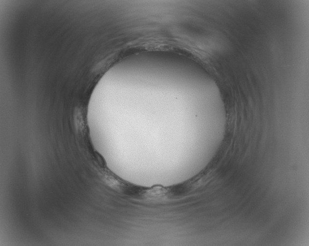 X0000054390335200508270040