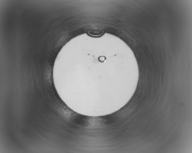 X0000054390336200508270040
