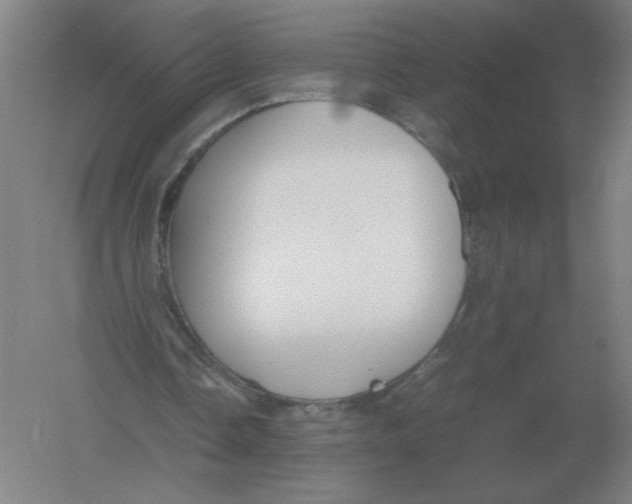 X0000054390338200508270040