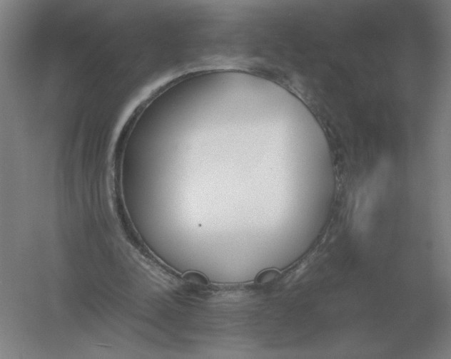 X0000054390342200508270040