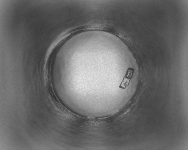 X0000054390343200508270040