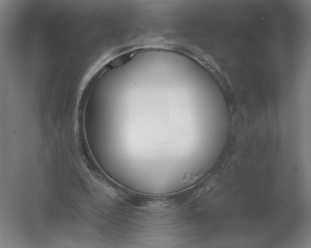 X0000054390344200508270040
