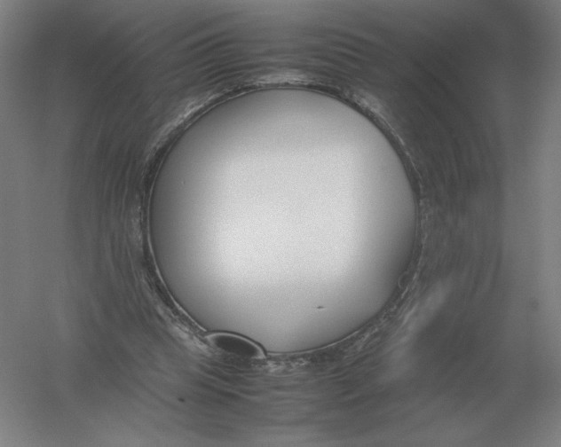 X0000054390345200508270040