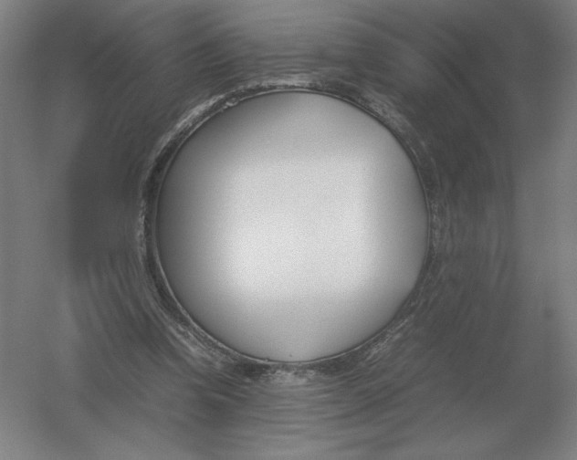 X0000054390346200508270040