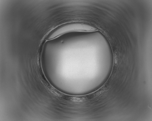 X0000054390347200508270040