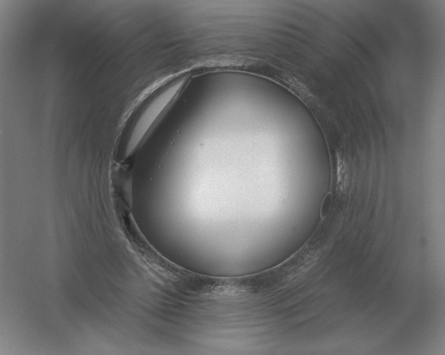 X0000054390348200508270040