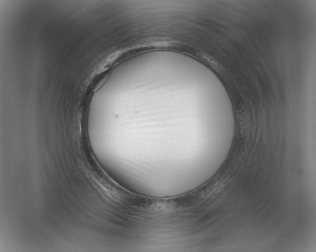 X0000054390350200508270040
