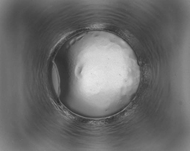 X0000054390351200508270040