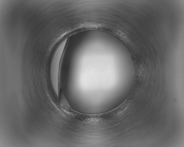 X0000054390352200508270040