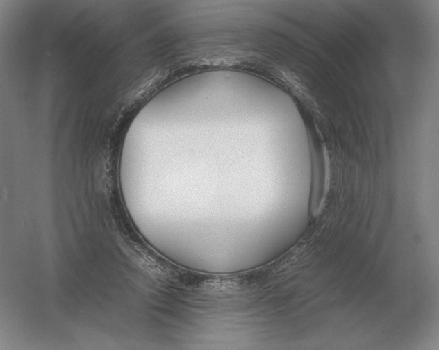 X0000054390354200508270040