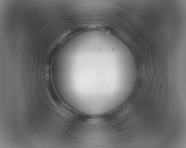 X0000054390356200508270040