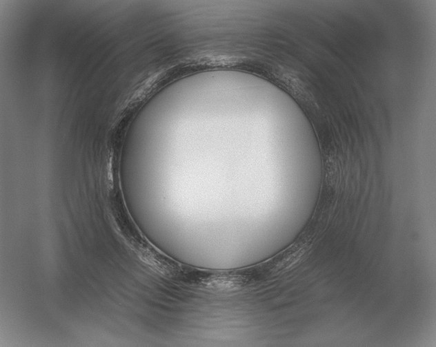 X0000054390358200508270040