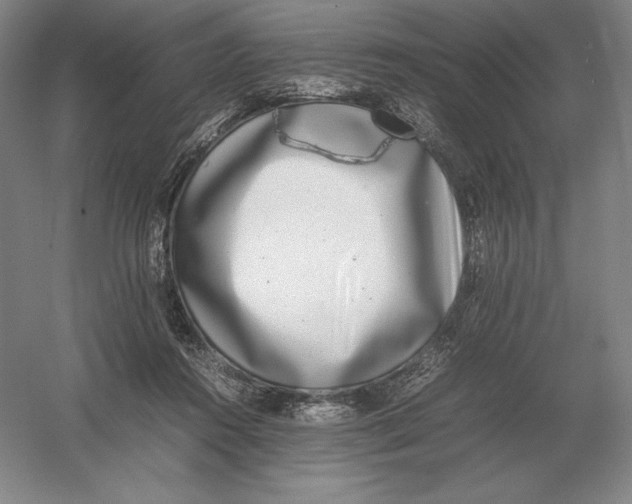 X0000054390360200508270040