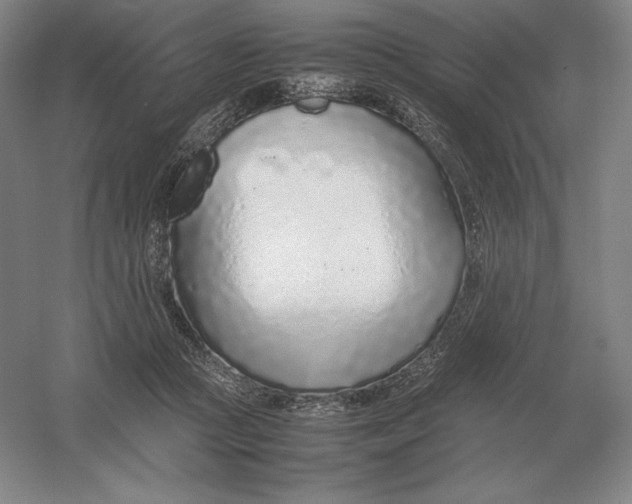 X0000054390361200508270040