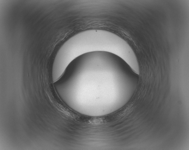 X0000054390362200508270040