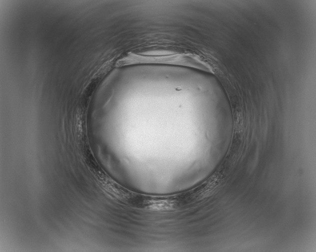 X0000054390363200508270040