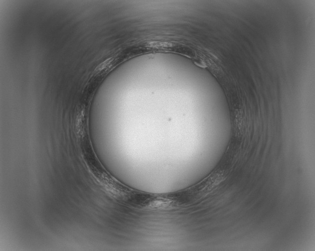 X0000054390364200508270040