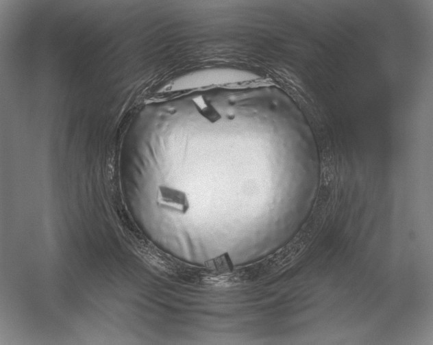 X0000054390365200508270040