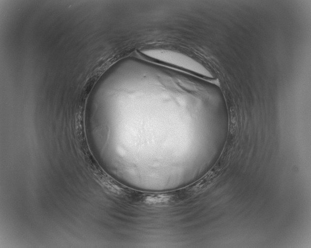 X0000054390369200508270040