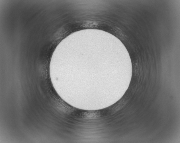 X0000054390370200508270040