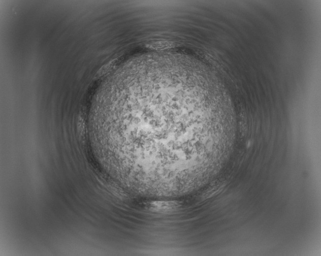 X0000054390371200508270040