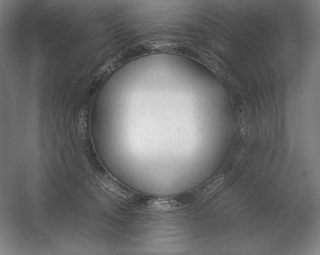 X0000054390372200508270040
