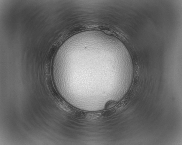 X0000054390373200508270040