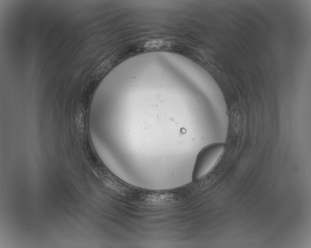 X0000054390375200508270040