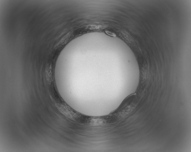 X0000054390376200508270040