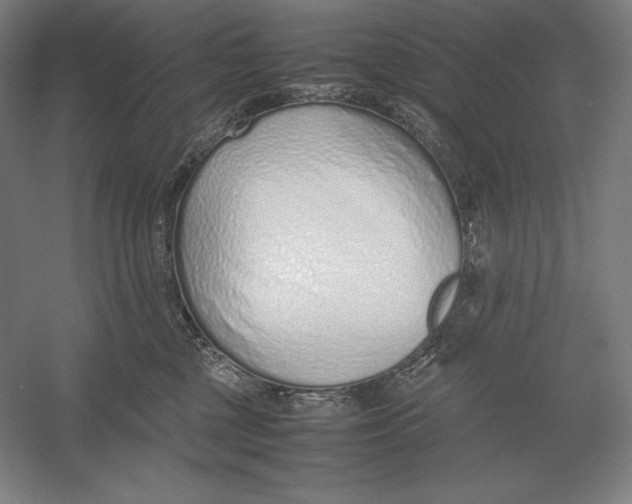 X0000054390377200508270040