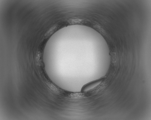 X0000054390378200508270040