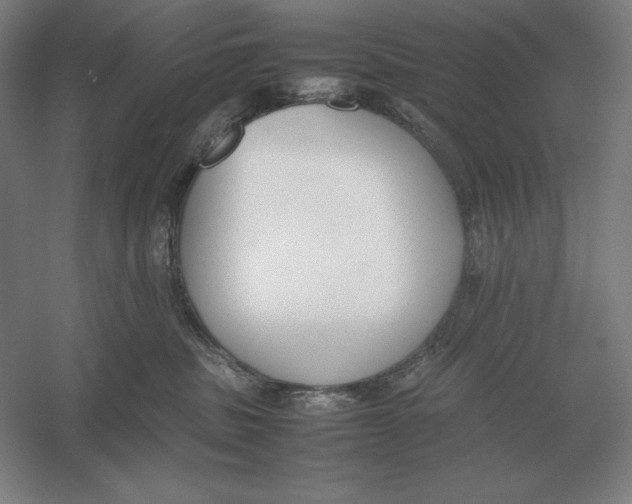 X0000054390379200508270040