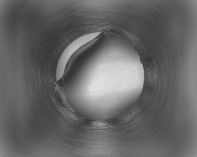 X0000054390380200508270040